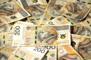 驾驶证贷5000微信口子,盘点十款1000元必下小贷  第1张