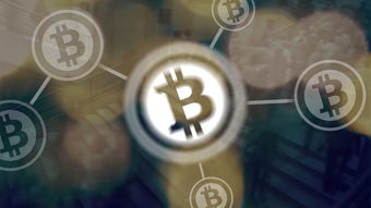 警惕海象理财骗局：已知受骗人数及金额的详细数据  第1张