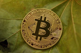 2024新年理财：金币投资多少最划算？  第1张