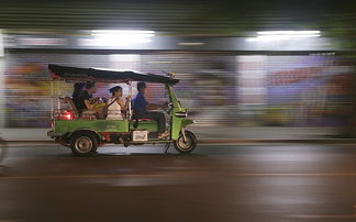 电车需要多少钱买保险  第1张