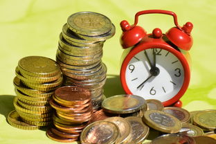 基金理财现金比例多少？新手必看资金配置指南