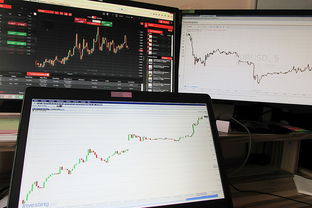 中风险理财投多少合适？新手小白理财规划指南