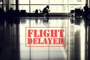 航空遇难保险赔付多少
