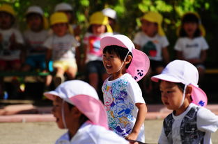 幼儿园幼儿保险多少费用