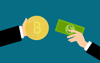 金融贷款买车从哪里还