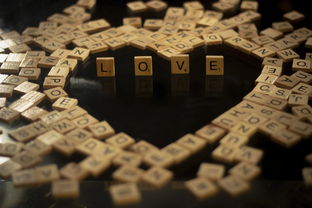 止损，理财中的生存法则与智慧边界