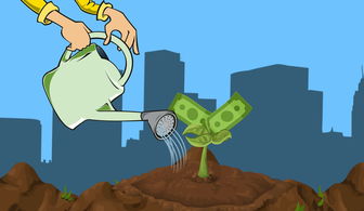 2025年国债投资避坑指南，穿越利率迷雾，守护你的财富方舟